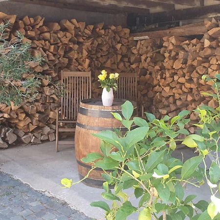 Gaestehaus Ringhof Florsheim-Dalsheim エクステリア 写真
